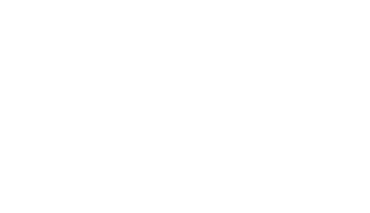 Pro Standard